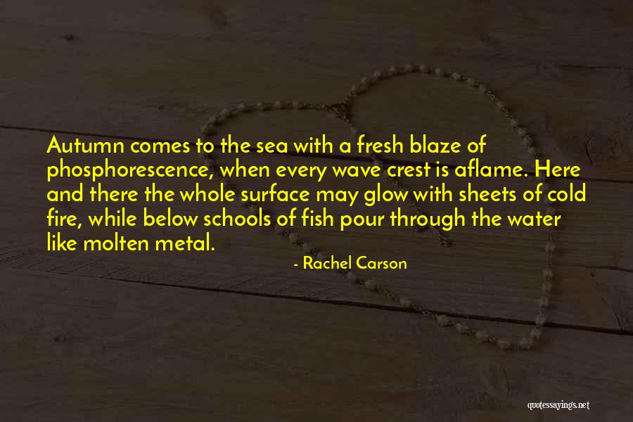 Below The Surface Quotes By Rachel Carson Below The Surface Quotes By Rachel Carson