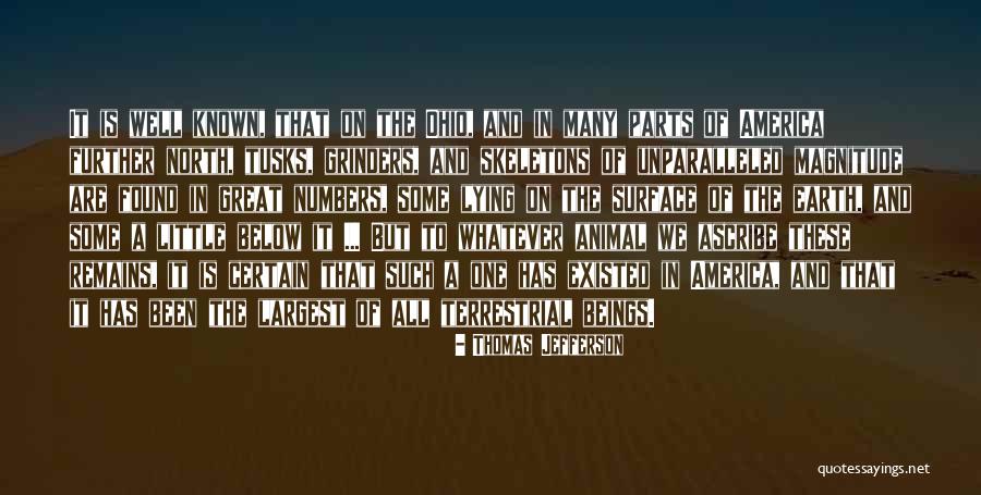 Below The Surface Quotes By Thomas Jefferson Below The Surface Quotes By Thomas Jefferson