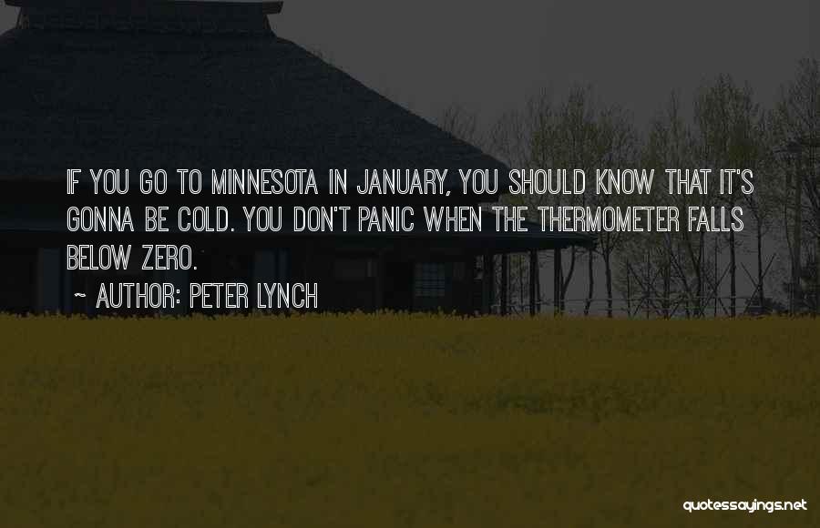 Below Zero Quotes By Peter Lynch