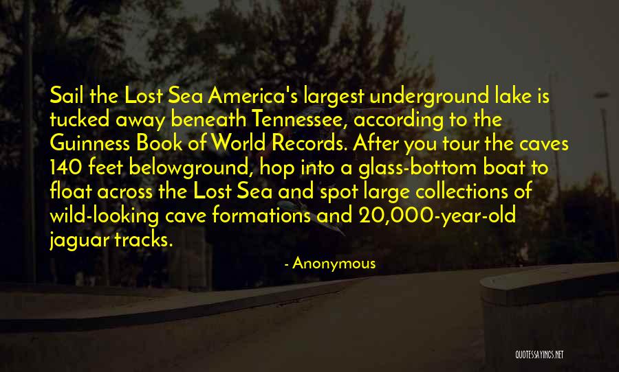 Belowground Still Quotes By Anonymous Belowground Still Quotes By Anonymous