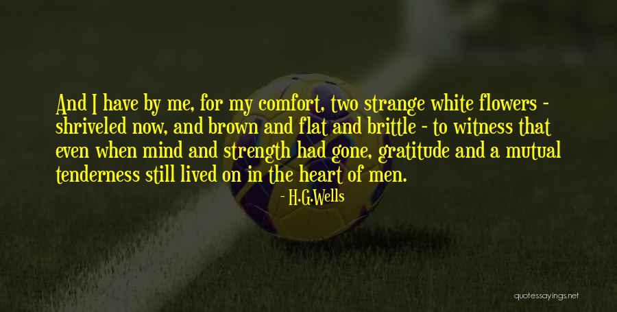 Belsky 1984 Quotes By H.G.Wells Belsky 1984 Quotes By H.G.Wells