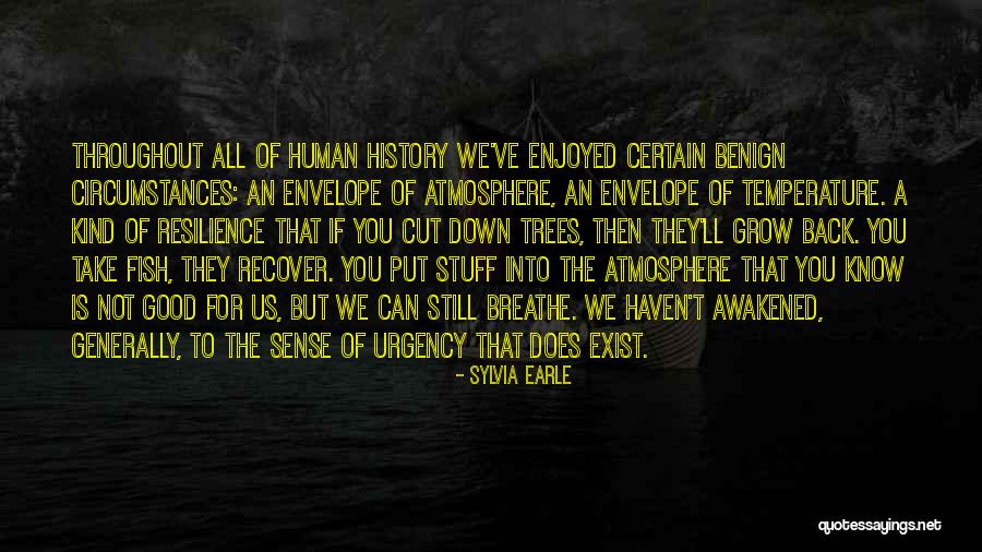 Belstone Meringue Quotes By Sylvia Earle Belstone Meringue Quotes By Sylvia Earle