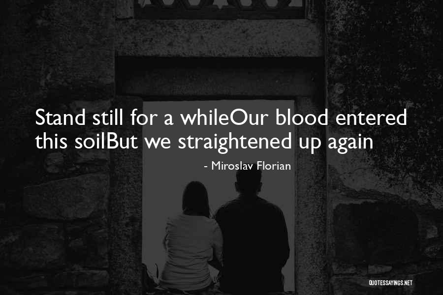 Belum Resort Quotes By Miroslav Florian