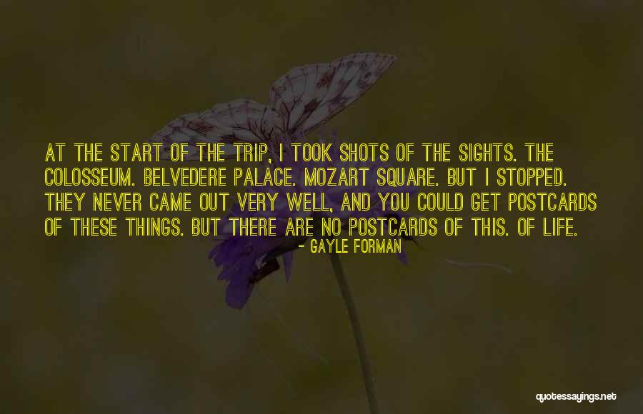 Belvedere Quotes By Gayle Forman