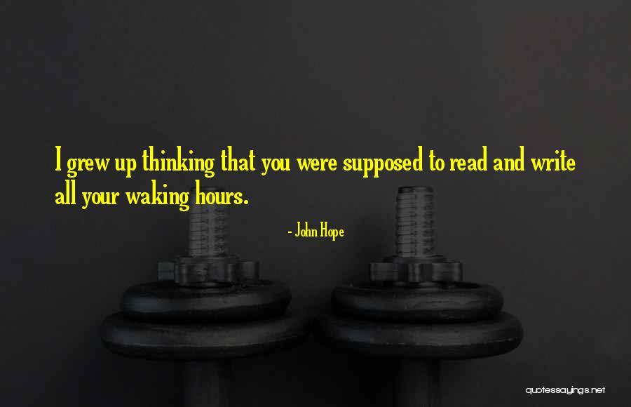 Belzoni Quotes By John Hope Belzoni Quotes By John Hope