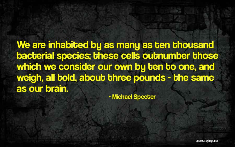 Bemba Colorada Quotes By Michael Specter Bemba Colorada Quotes By Michael Specter