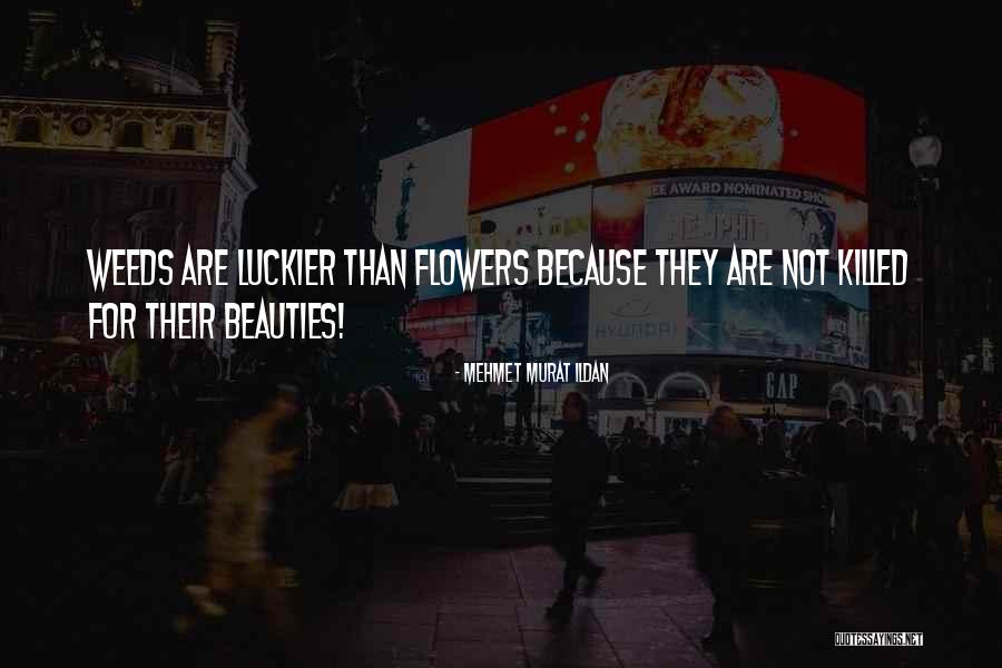 Bemberg Lining Quotes By Mehmet Murat Ildan Bemberg Lining Quotes By Mehmet Murat Ildan