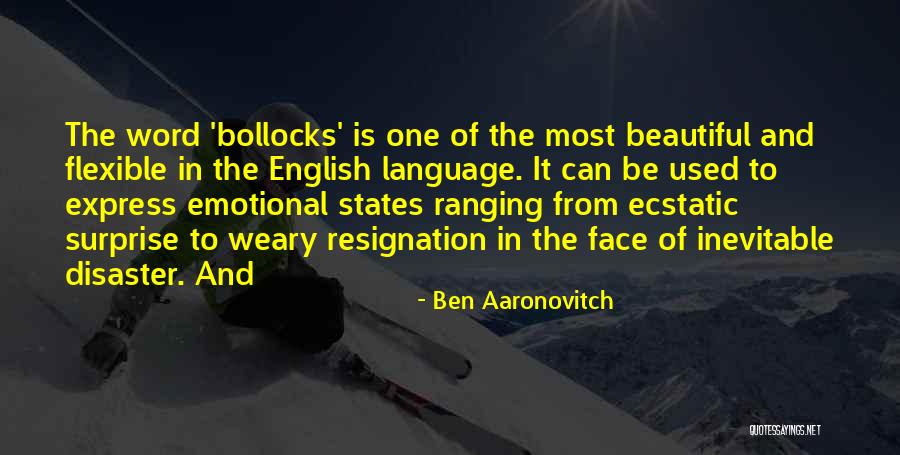 Ben Aaronovitch Quotes 84472