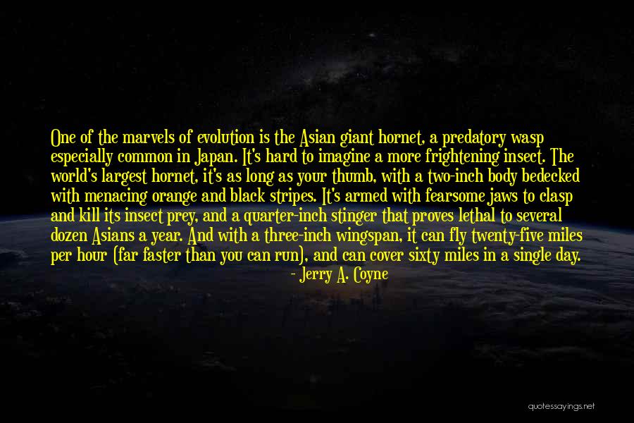 Ben Herbster Quotes By Jerry A. Coyne