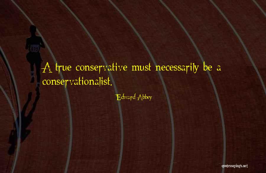 Ben Khalifa Player Quotes By Edward Abbey Ben Khalifa Player Quotes By Edward Abbey