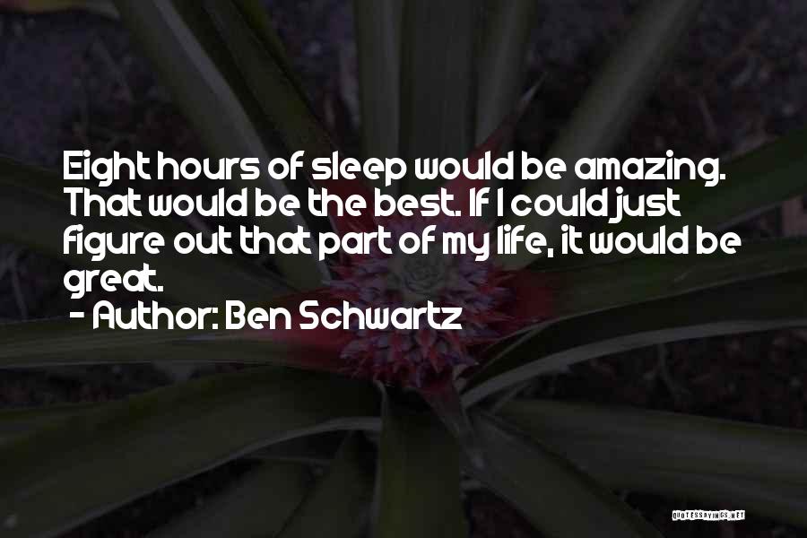 Ben Schwartz Quotes 1799706