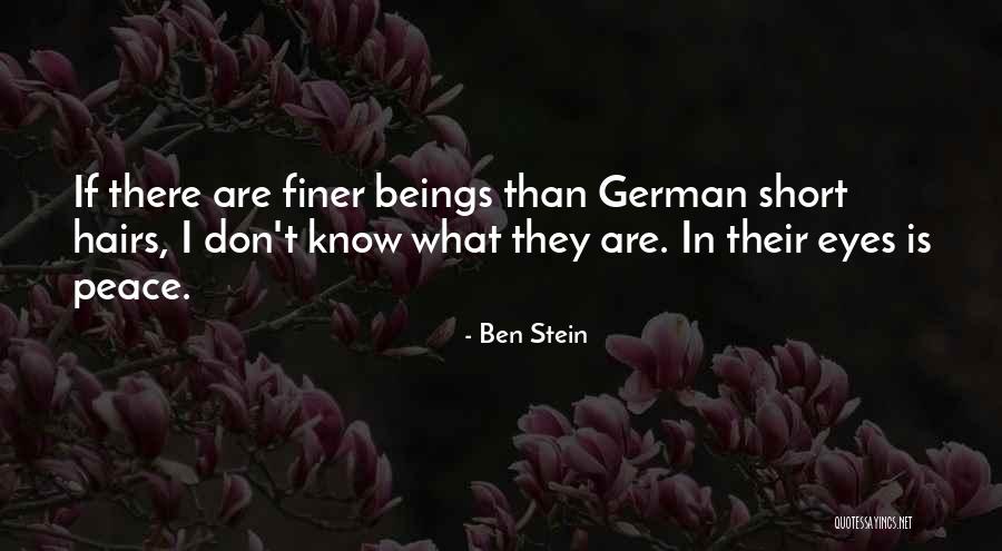 Ben Stein Quotes 976604