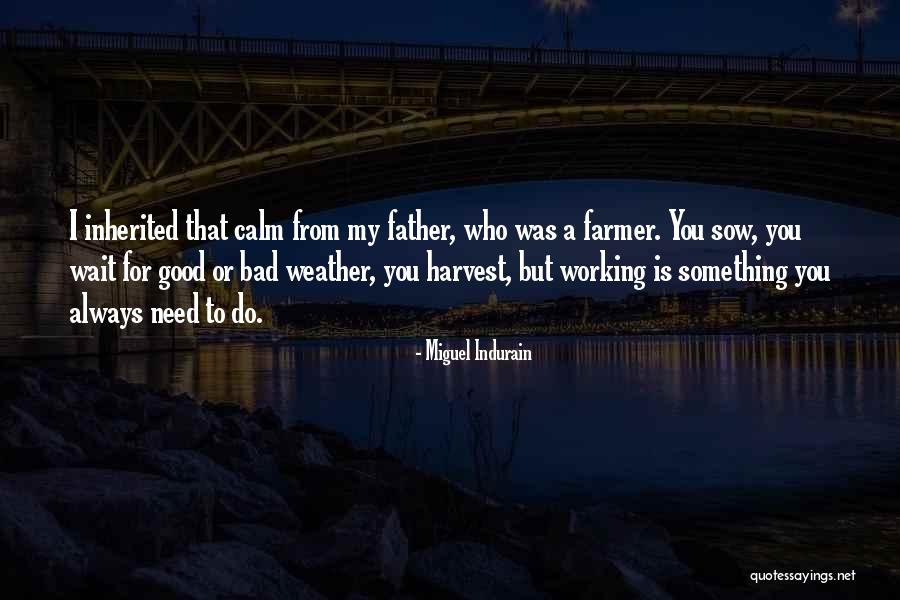 Benara Nursery Quotes By Miguel Indurain Benara Nursery Quotes By Miguel Indurain