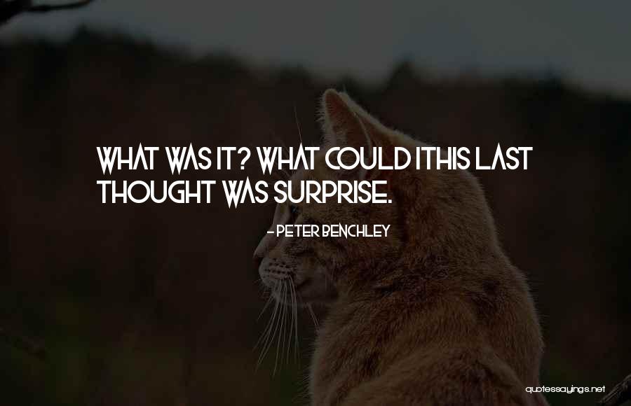 Benchley Quotes By Peter Benchley