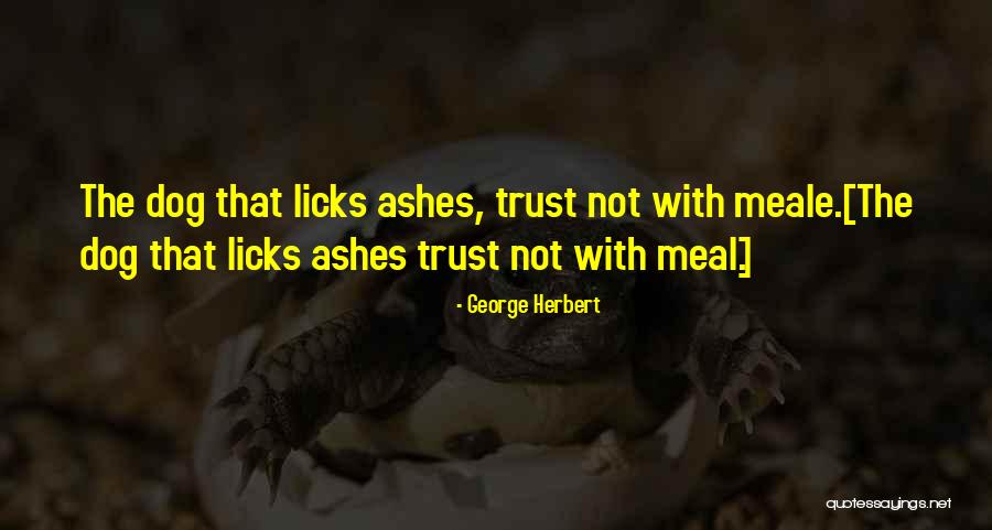 Benchwarmer Movie Quotes By George Herbert Benchwarmer Movie Quotes By George Herbert
