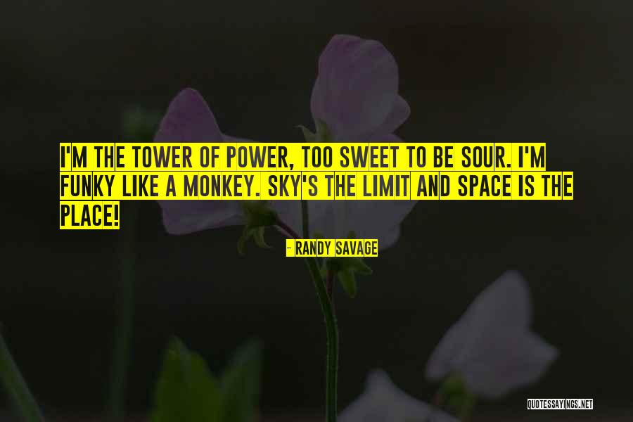 Bencivenga Kimberly Quotes By Randy Savage Bencivenga Kimberly Quotes By Randy Savage