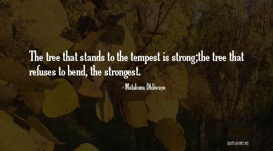 Bend Tree Quotes By Matshona Dhliwayo Bend Tree Quotes By Matshona Dhliwayo