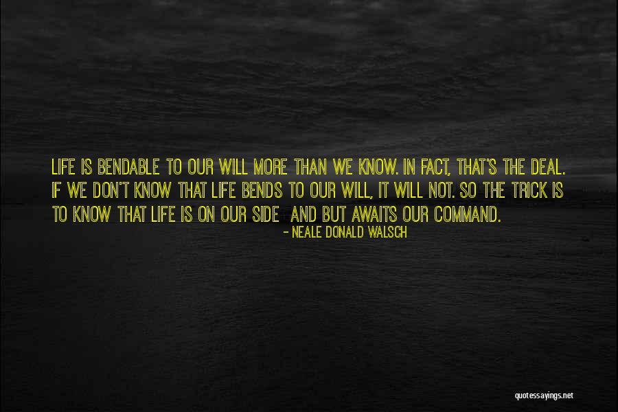 Bendable Quotes By Neale Donald Walsch Bendable Quotes By Neale Donald Walsch