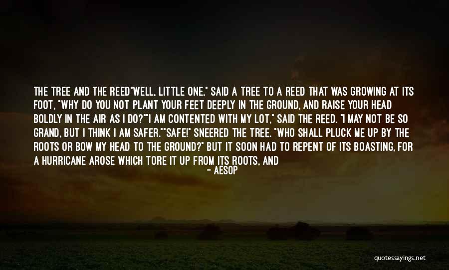 Bending Over Quotes By Aesop Bending Over Quotes By Aesop
