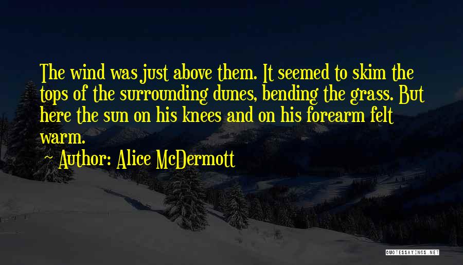 Bending Quotes By Alice McDermott