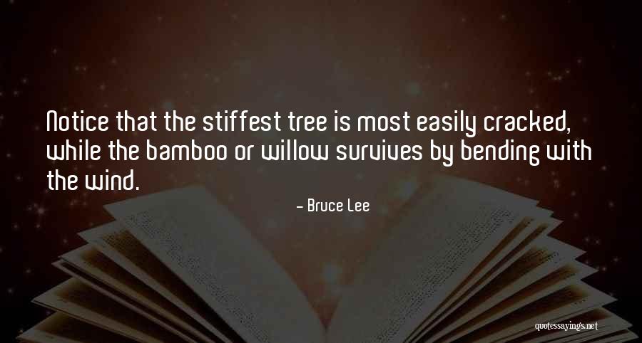 Bending With The Wind Quotes By Bruce Lee Bending With The Wind Quotes By Bruce Lee