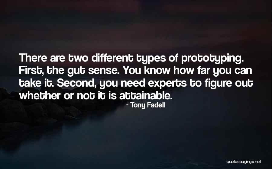 Bending With The Wind Quotes By Tony Fadell Bending With The Wind Quotes By Tony Fadell
