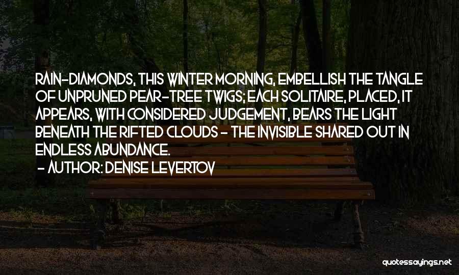 Beneath Clouds Quotes By Denise Levertov