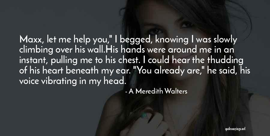 Beneath Me Quotes By A Meredith Walters