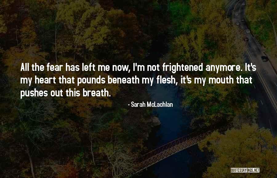 Beneath Me Quotes By Sarah McLachlan