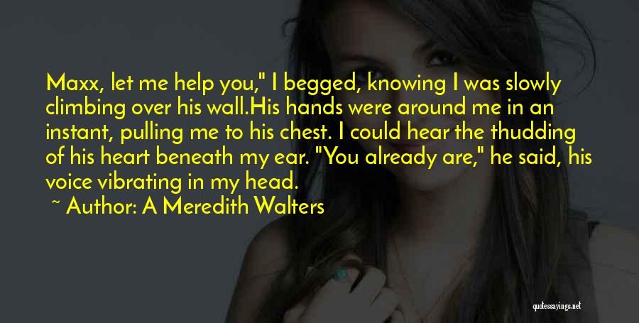 Beneath Quotes By A Meredith Walters