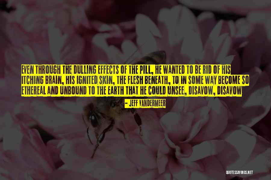 Beneath Quotes By Jeff VanderMeer Beneath Quotes By Jeff VanderMeer