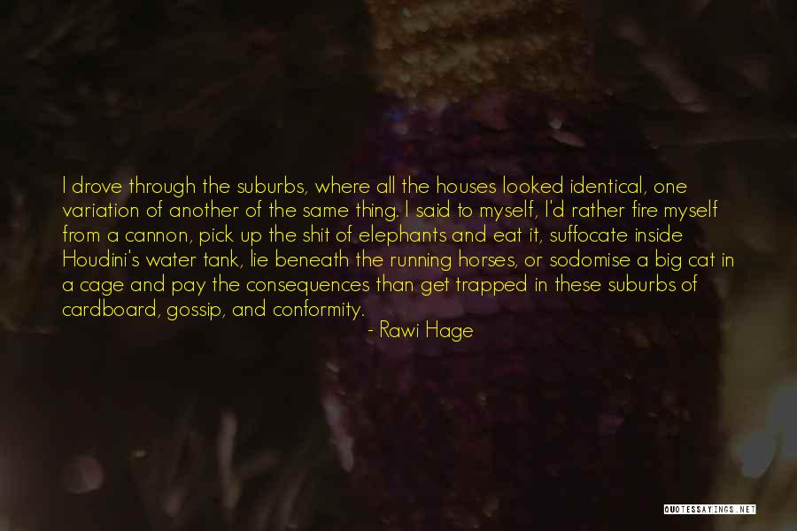 Beneath Quotes By Rawi Hage Beneath Quotes By Rawi Hage