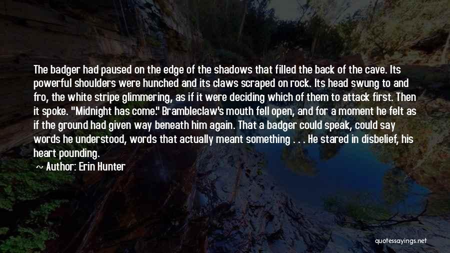 Beneath The Waves Quotes By Erin Hunter