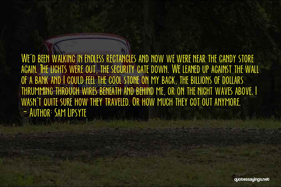 Beneath The Waves Quotes By Sam Lipsyte