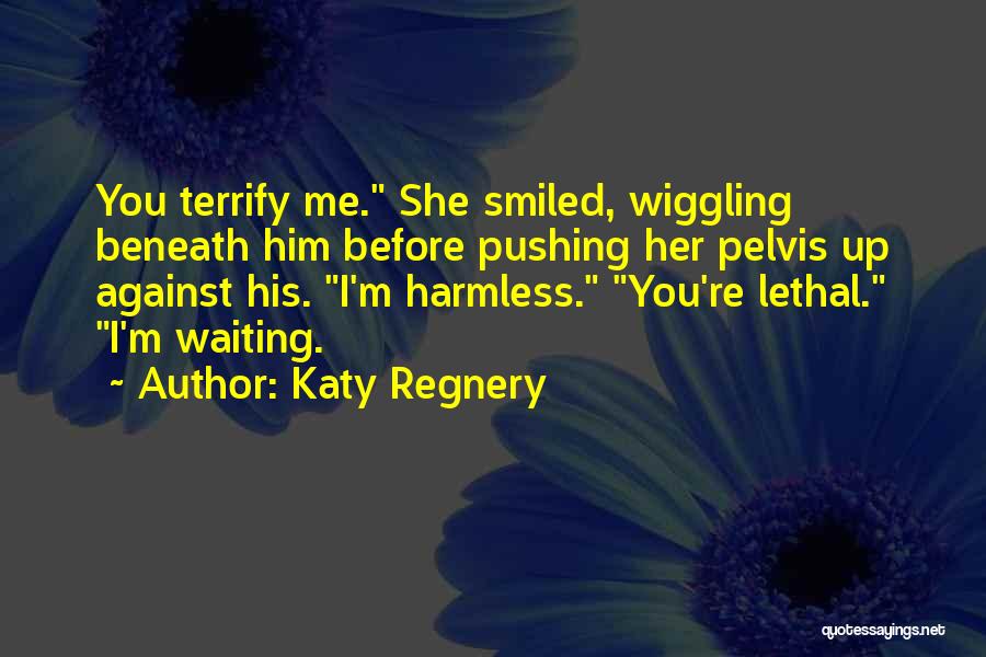 Beneath You Quotes By Katy Regnery