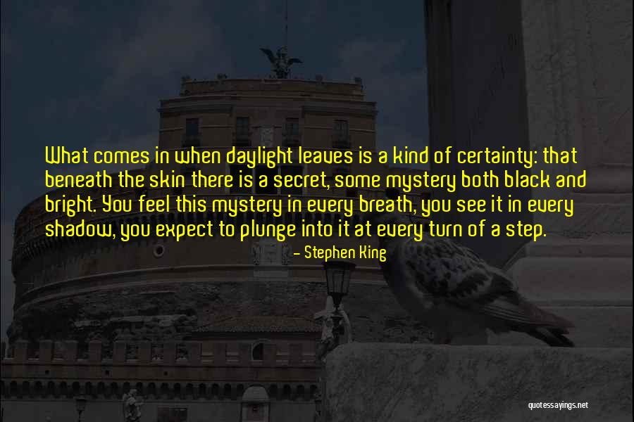 Beneath You Quotes By Stephen King