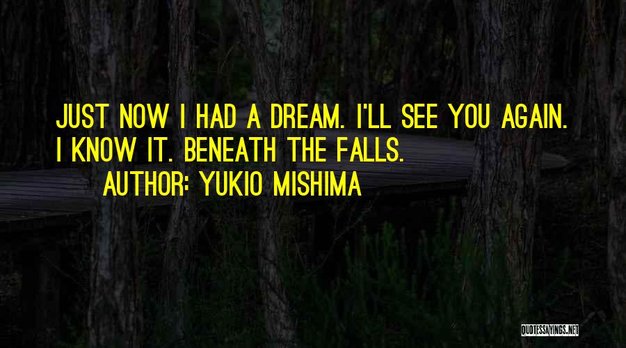 Beneath You Quotes By Yukio Mishima