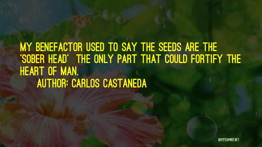 Benefactor Quotes By Carlos Castaneda