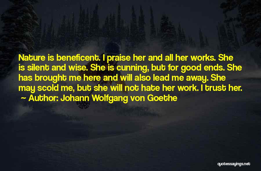 Beneficent Quotes By Johann Wolfgang Von Goethe