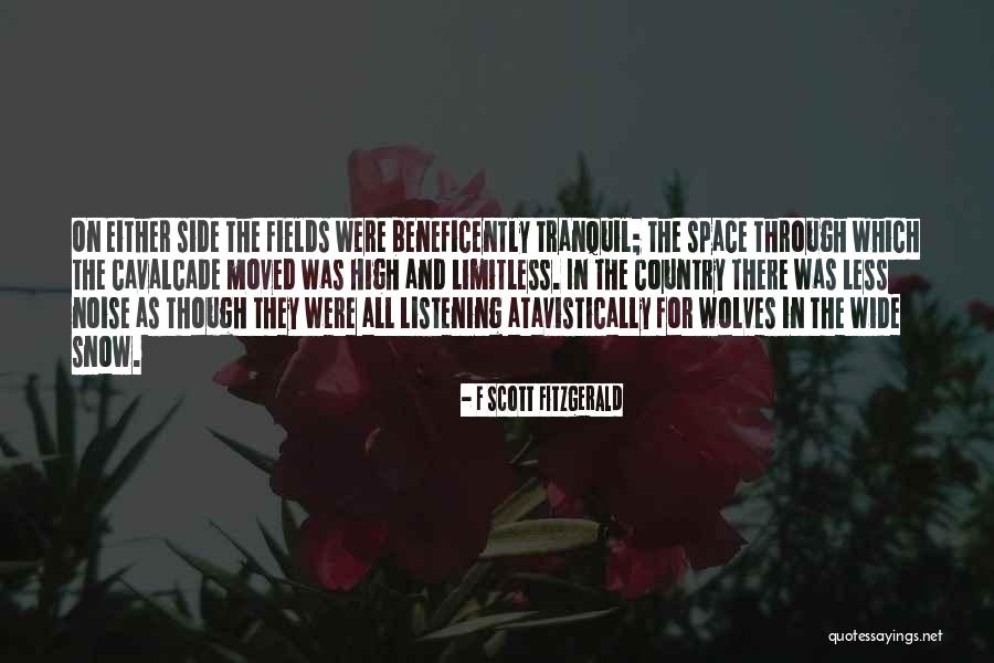 Beneficently Quotes By F Scott Fitzgerald Beneficently Quotes By F Scott Fitzgerald