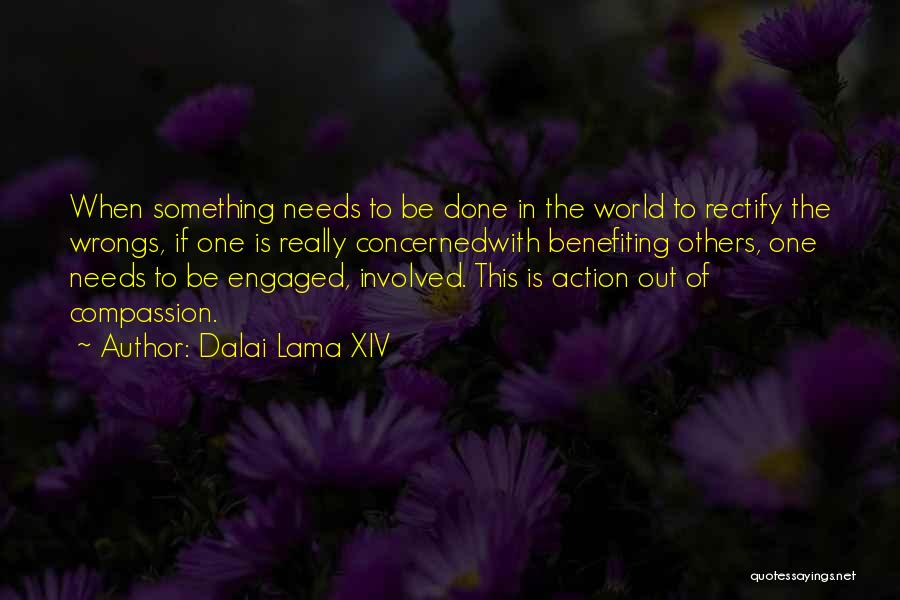 Benefiting Others Quotes By Dalai Lama XIV