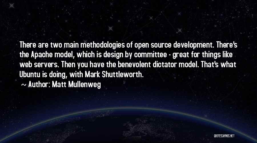 Benevolent Dictator Quotes By Matt Mullenweg