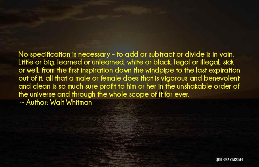 Benevolent Universe Quotes By Walt Whitman