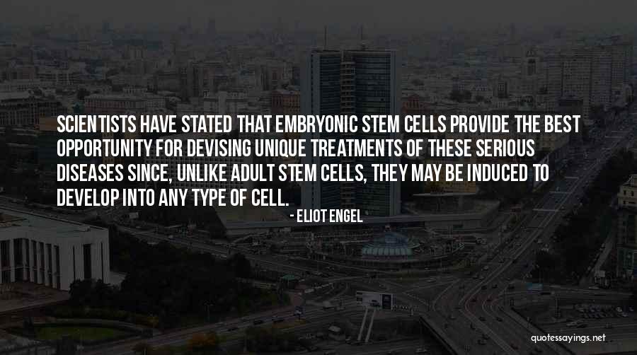 Bengana Bouaziz Quotes By Eliot Engel Bengana Bouaziz Quotes By Eliot Engel