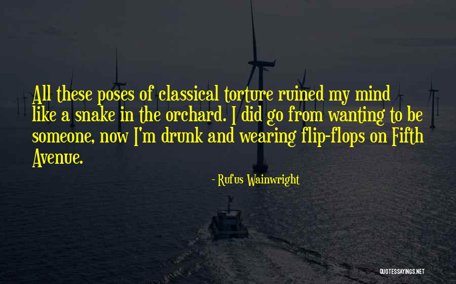 Benhamou Gilbert Quotes By Rufus Wainwright Benhamou Gilbert Quotes By Rufus Wainwright