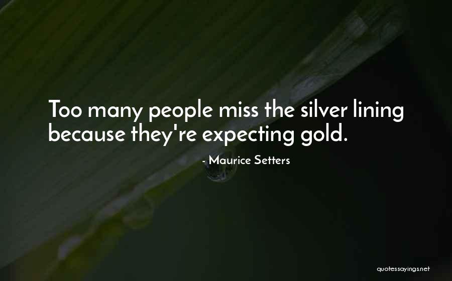 Benhauser Quotes By Maurice Setters