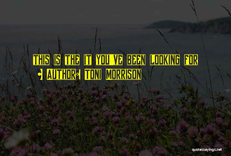 Beniash Quotes By Toni Morrison