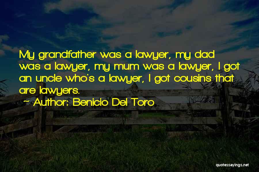 Benicio Del Toro Quotes 1403124