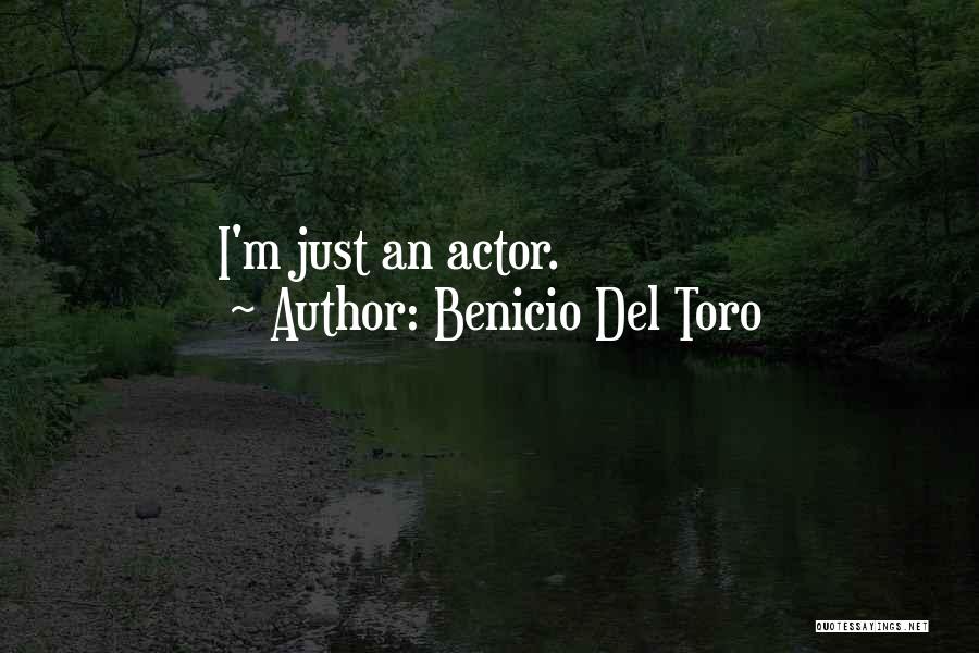 Benicio Del Toro Quotes 1656063