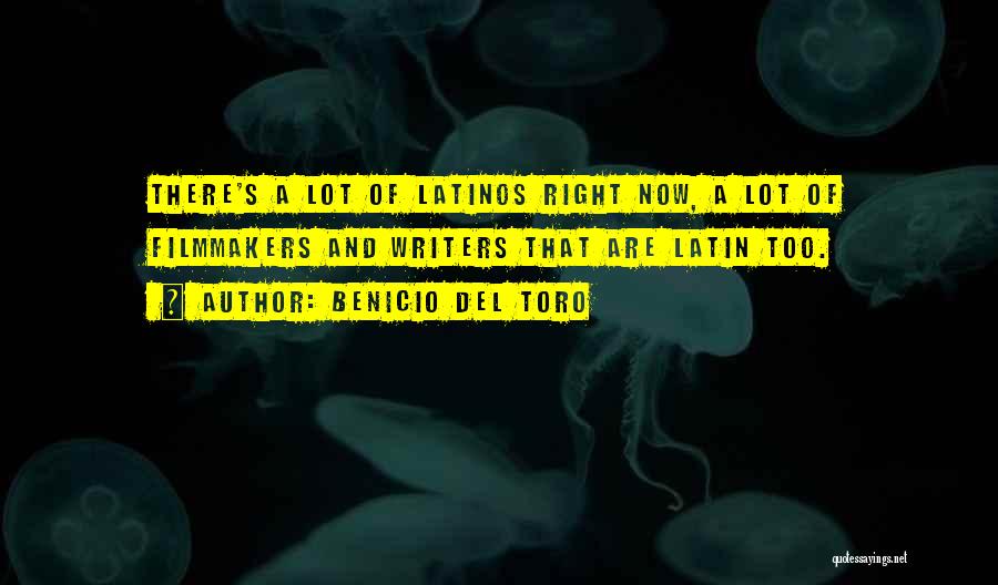 Benicio Del Toro Quotes 2159636